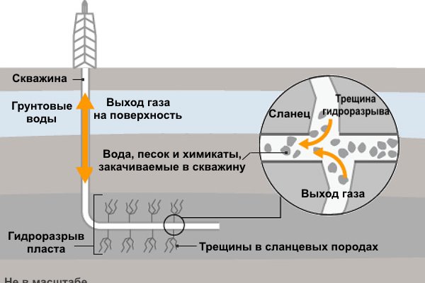 Как найти официальный сайт кракен