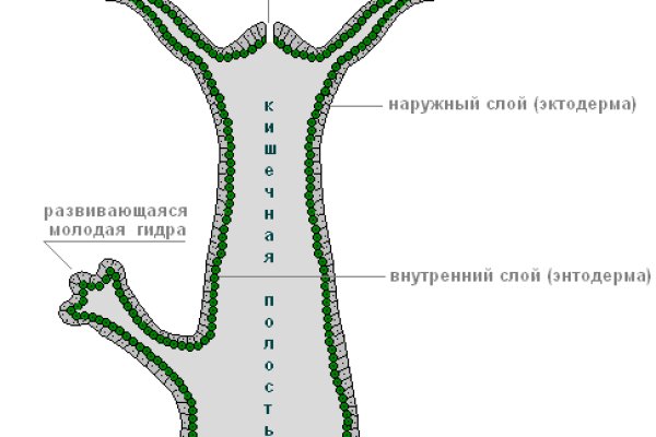 Кракен как попасть