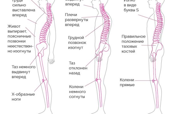 Darknet как войти