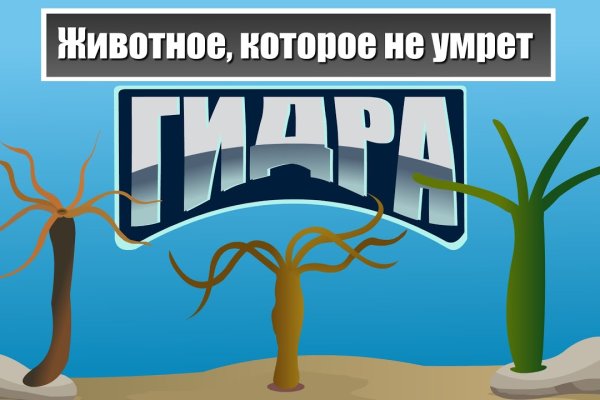 Kraken официальные зеркала