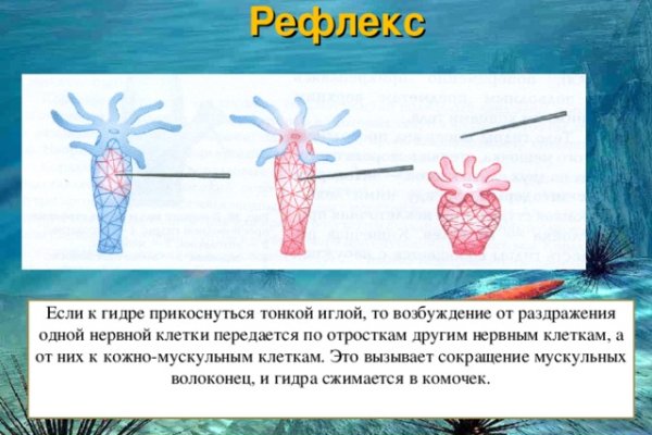 Что за кракен маркет